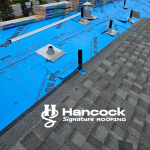 Gallery Roof 3 2 2 1787851077 Png