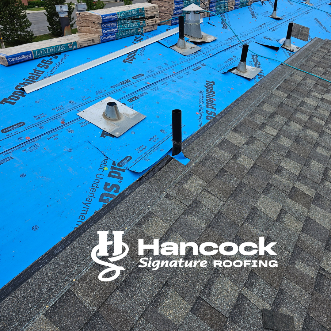 Gallery Roof 3 2 2 1787851077 Png